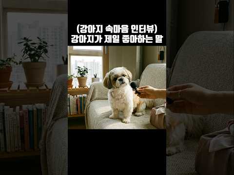 오늘 당장 강아지 꼭 안아주면서 해줘야 할 말