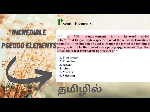 Tamil | Learn The 6 Different Types of CSS Pseudo Elements