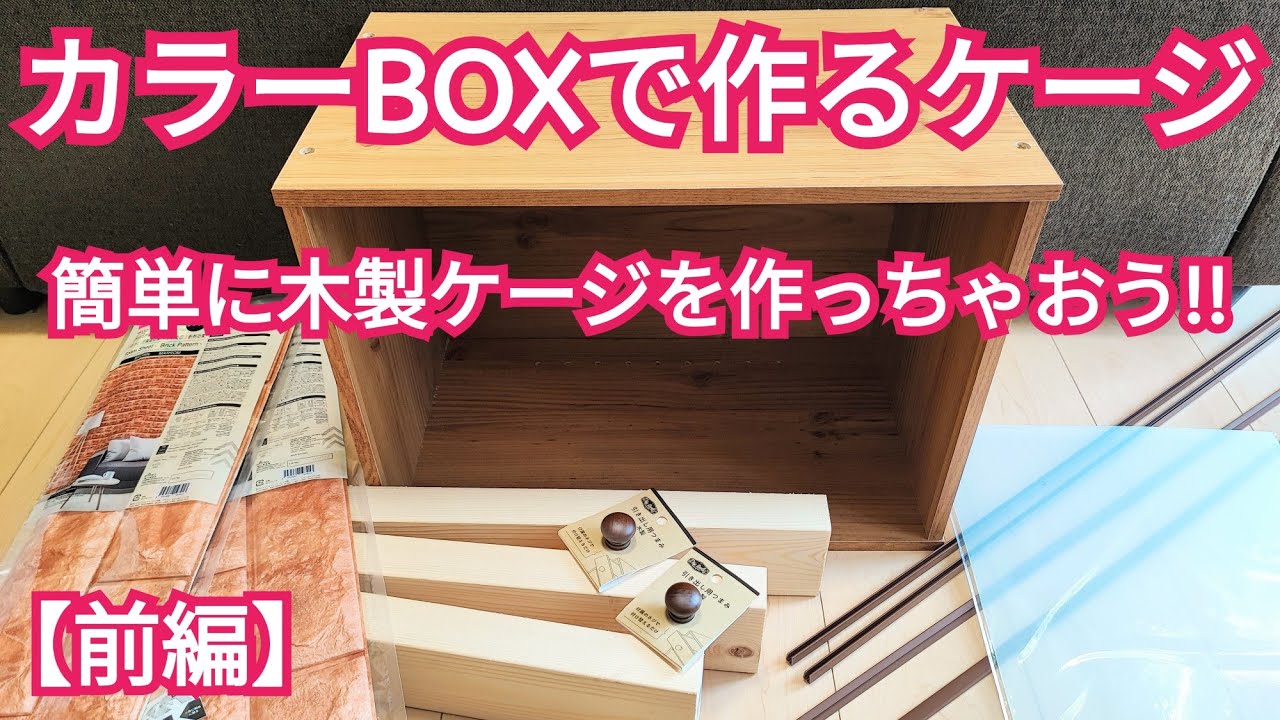 カラーBOXでケージを作る【前編】