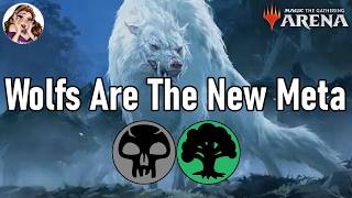 New 100% Win Wolf Tribal Meta Combo - MTG Standard