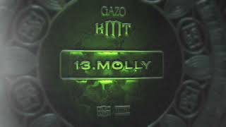 GAZO - MOLLY (Visualizer)