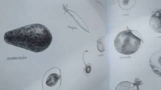 Activitatile Mele Montessori - Natura Si Botanica