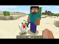 DON'T BE FRIENDS WITH HEROBRINE & NOTCH IN MINECRAFT PART 1