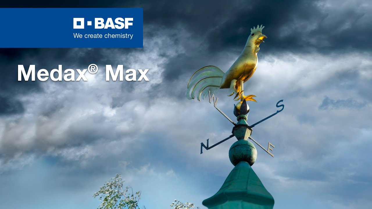 Medax® Max – regulator wzrostu do stosowania w zbożach