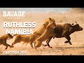 WILD NAMIBIA Never Ending Battle For Survival Against Predators Animal Documentary