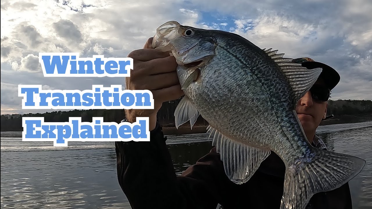 Winter Crappie Fishing Transition Explained w/ Livescope Footage 