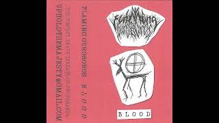 Flaming Ouroboros (US) - Blood (Demo 2023)