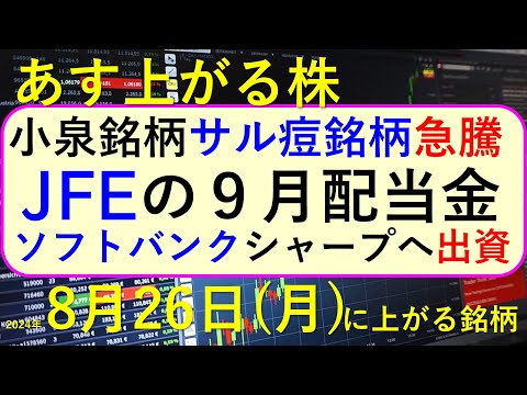あす上がる株 2024年８月２６（月）に上がる銘柄。小泉 ...