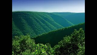 French Lavender, Valerian and Ruta graveolens - Calming, Immune System Support, Clearing Airways screenshot 4