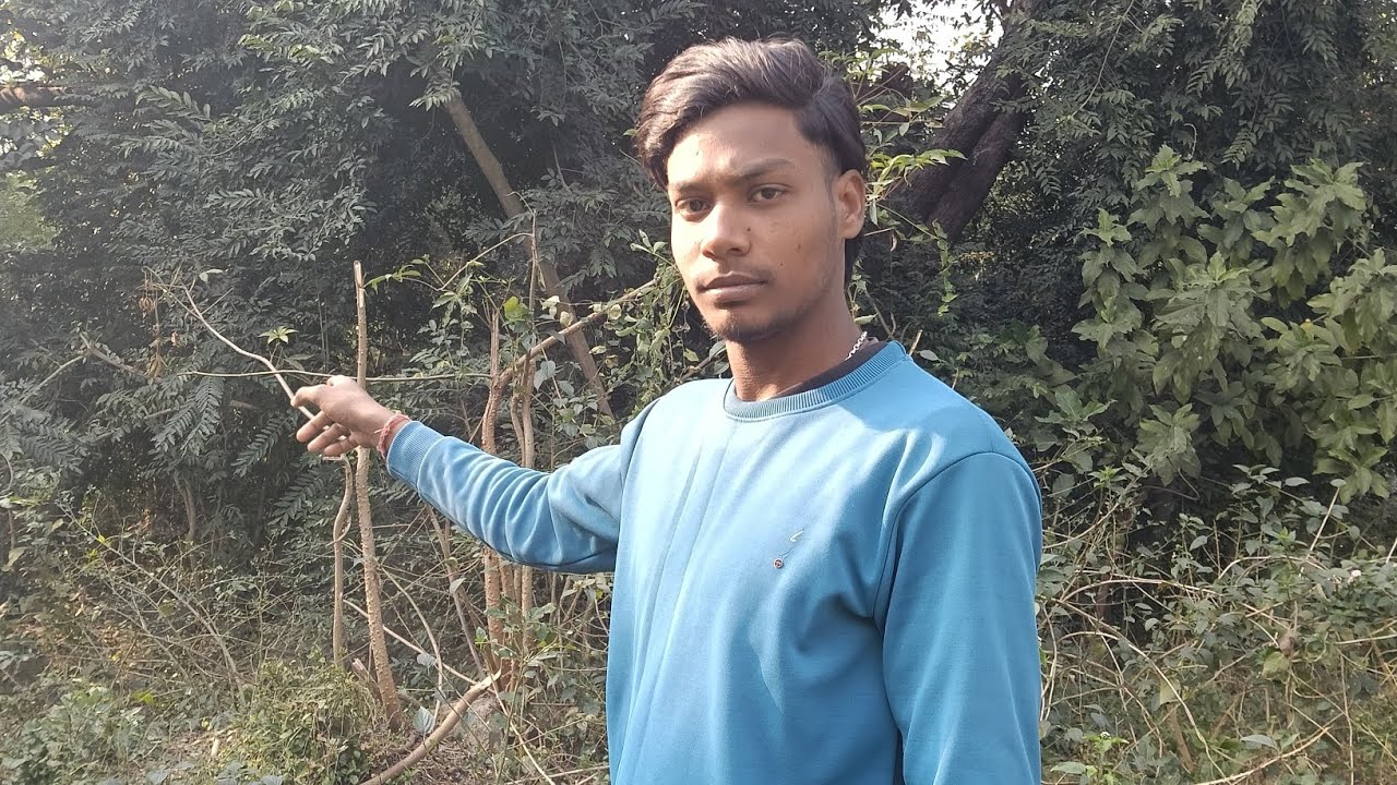 My village in Forest 