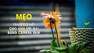 Cách tăng độ nét gai cho ảnh bằng phần mềm Camera Raw của Photoshop CC screenshot 4