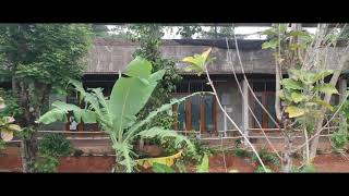 Download Lagu IGS PROFILE MP3