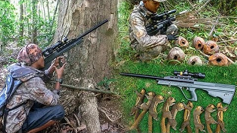 BERBURU : Uklik Paling ditakuti para Bajing/Tupai Kelapa❗