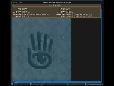 Using Textual and Rich Pixels to view Second Life region info in the terminal