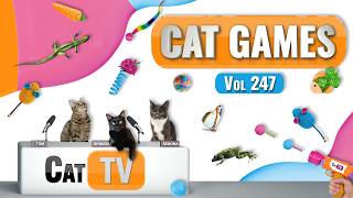 CAT Games | Ultimate Cat TV Compilation Vol 247 | 8 HOURS 🐝🐞🦋🦎🦜🐜🐭🧵 screenshot 4