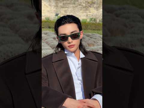 Hyunjin from Stray Kids at the #DiorAW26 show 🪷