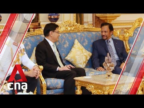 DPM Heng attends Brunei Sultan's 73rd birthday celebrations
