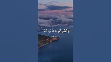 تلاوة رائعة للقارئ فارس عباد لسورة البقرة الآية 28  #اكسبلور #faresabbad