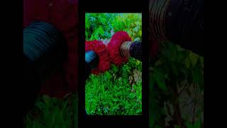 #viral #reels #viralaong