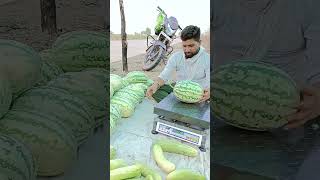 #watermellon #farmer #agriculture #flowers #plants #blackwatermelon