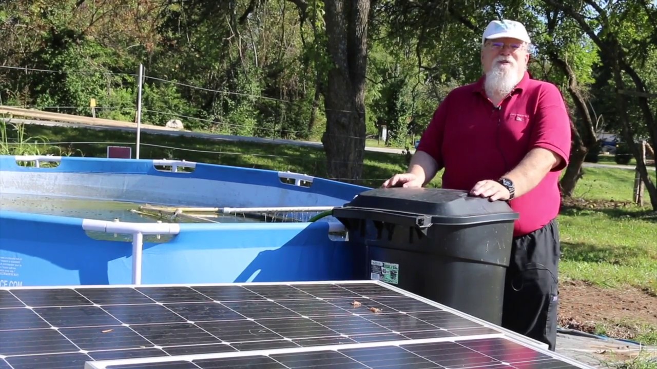 Backyard Shrimping with Brent Hood