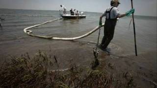 B P Oil Spill