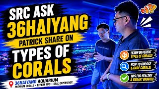 SRC Ask: 36 Haiyang | Patrick Explains the Different Types of Corals! 🪸 screenshot 4