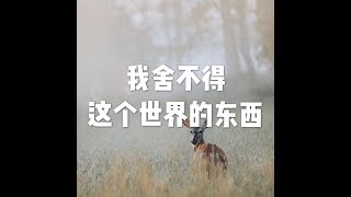 201604 我舍不得这个世界的东西21732