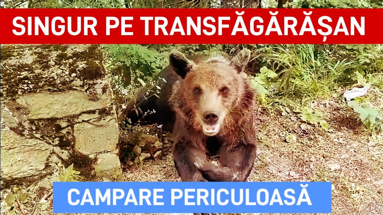 Lupii îmi dau târcoale la Bârlog Mobil. Bloc abandonat în satul Capățâneni