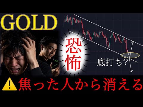【⚠️恐怖相場】全員が売り始めた今、養分狩りの反発ポイントが近い。XAUUSD分析