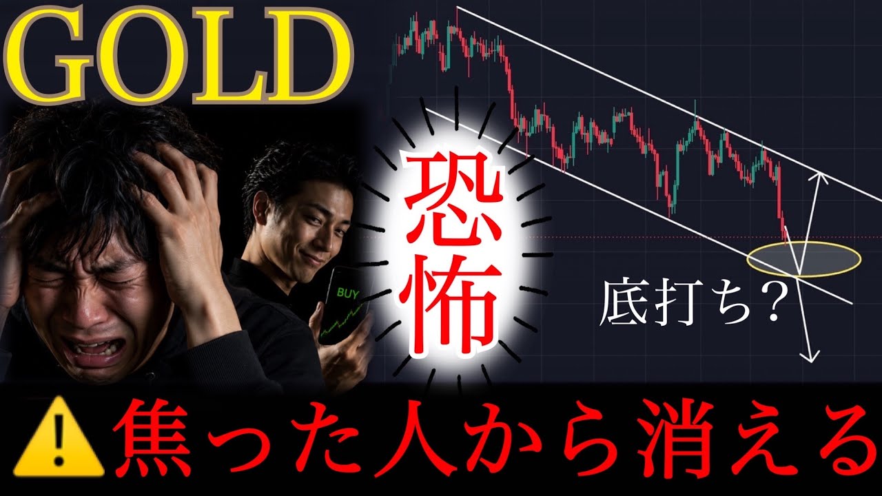 【⚠️恐怖相場】全員が売り始めた今、養分狩りの反発ポイントが近い。XAUUSD分析