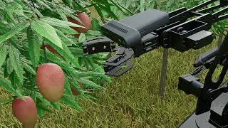 Intelligent Fruit And Vegetable Harvest Robot