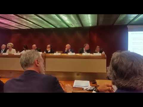 WhatsApp Video 2019 06 18 at 15 28 14