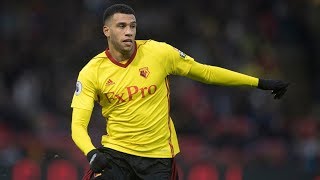 Étienne Capoue Signs New 4-Year Deal