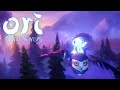 NEW LIFE - Ori And The Will Of The Wisps - Part 1