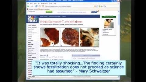 Dinosaur soft tissues and DNA prove fossils are young