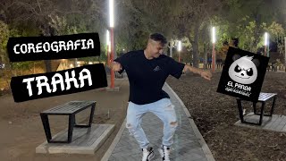 TRAKA - El Alfa, Tito Double P (Zumba Choreo By: DYAN RODRIGUEZ “EL PANDA”) #traka #zumba #elalfa