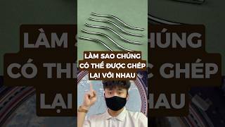 Làm Sao Chúng Có Thể Được Ghép Lại Với Nhau