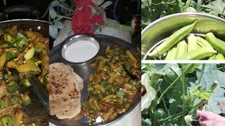 Village Style Bhindi Bhaji Process Like & Subscribe