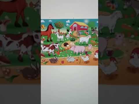 Introduction of animals - YouTube
