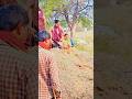 😱 बहुत बड़ा खतरनाक अजगर ने जिंदा निगल लिया शिकार – दिल दहला देने वाला मंजर!