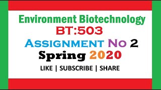 BT503 Assignment No 2 Solution Spring 2020