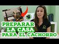 PREPARAR LA CASA PARA LA LLEGADA DEL CACHORRO - Educación canina - Diéresis animal Tv