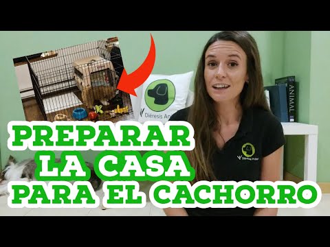 Video: Lista De Verificación De Protección De Cachorros - Preparándose Para Un Nuevo Cachorro