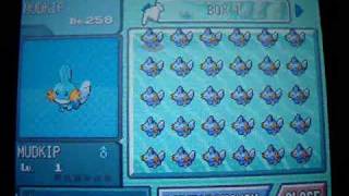 Shiny Mudkip Hatches via Masuda Method