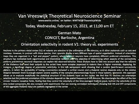 Orientation selectivity in rodent V1: theory vs experiments recording thumbnail
