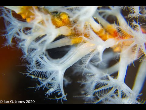 201206 Ammo Jetty rA