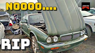 2000 Alpine Green Jaguar XJR - At The ScrapYard? (This One Stings...) 2000 Jaguar Xjr Peak Jaaag