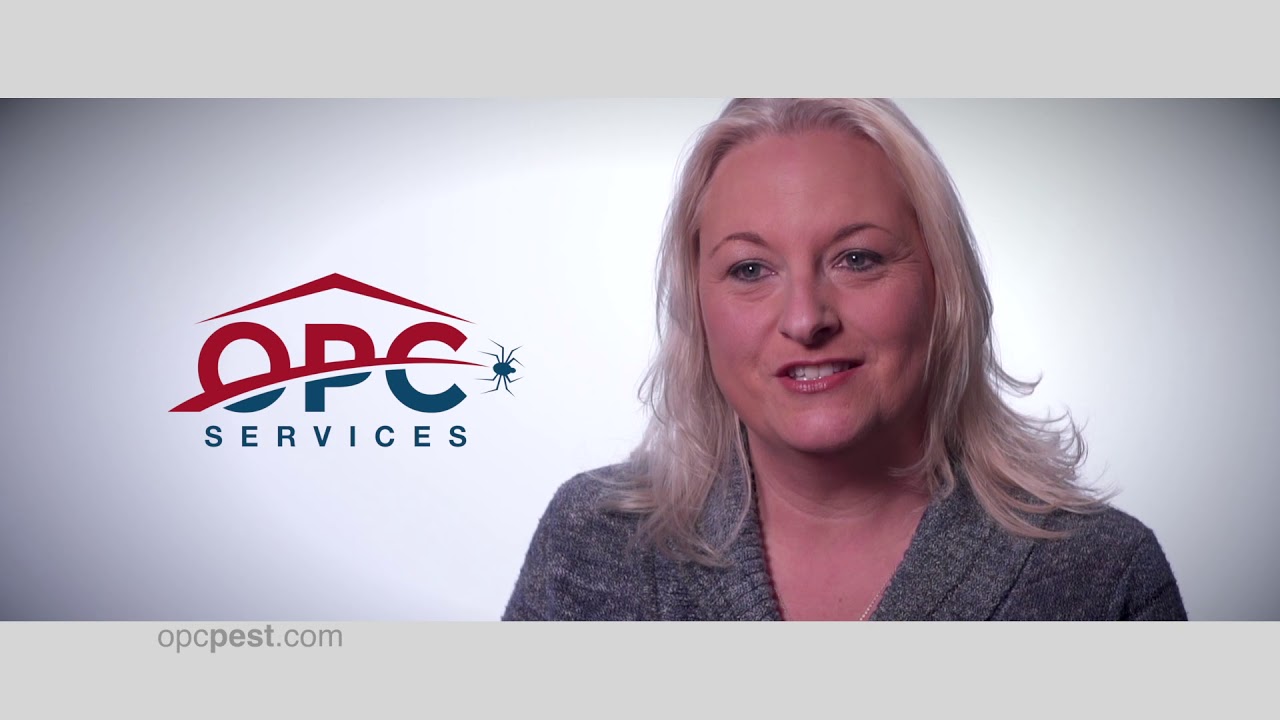 a pest control company for bed bugs YouTube