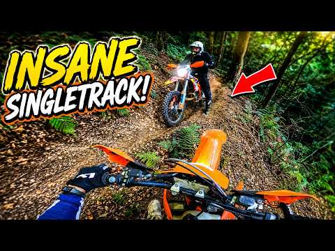 INSANE Forest Singletrack on a 300cc 2-Stroke!